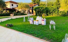 Agriturismo IL CASTAGNETO
